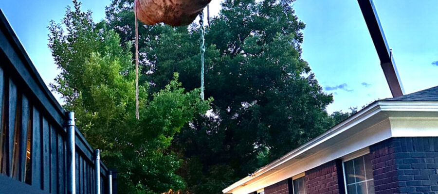 Crane assisted emergency tree removal dallas texas